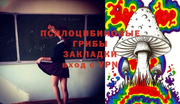 прущие грибы Алексеевка