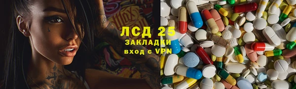 прущие грибы Алексеевка