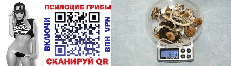 Галлюциногенные грибы Psilocybine cubensis  Красноуральск 